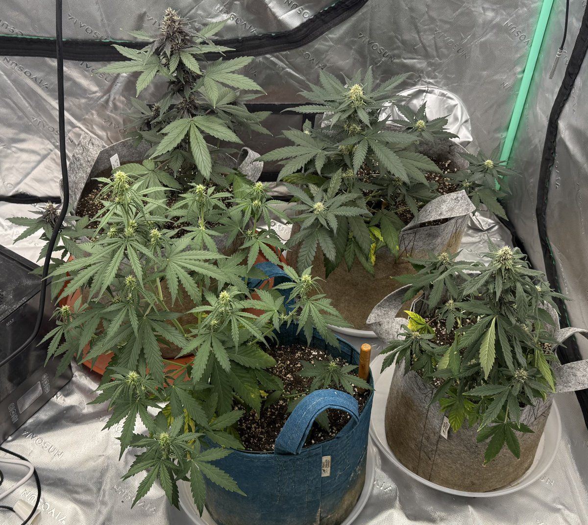 Autos  05 16 2025 01