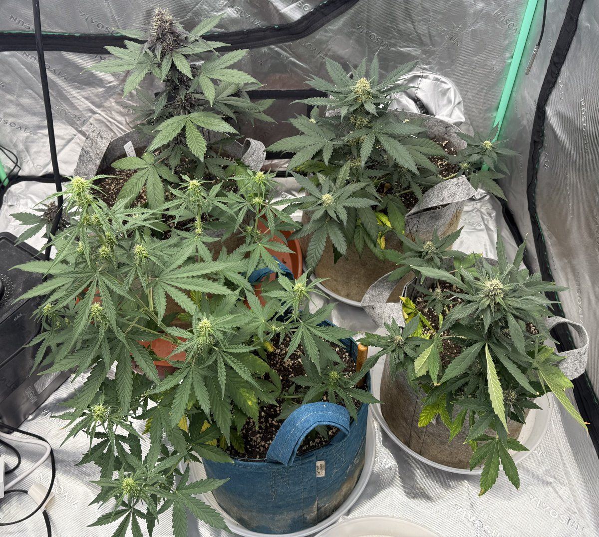 Autos  05 17 2025 01