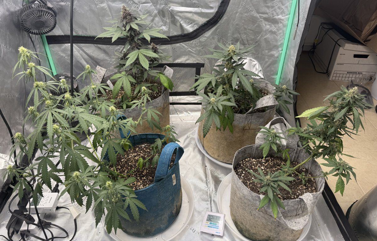Autos  05 20 2025 01