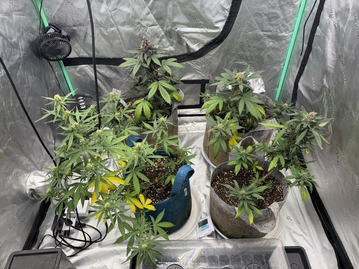 Autos  05 25 2025 01a