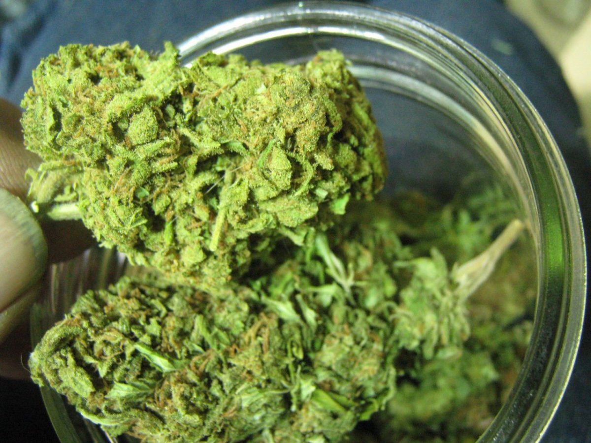 Avatarbuds224
