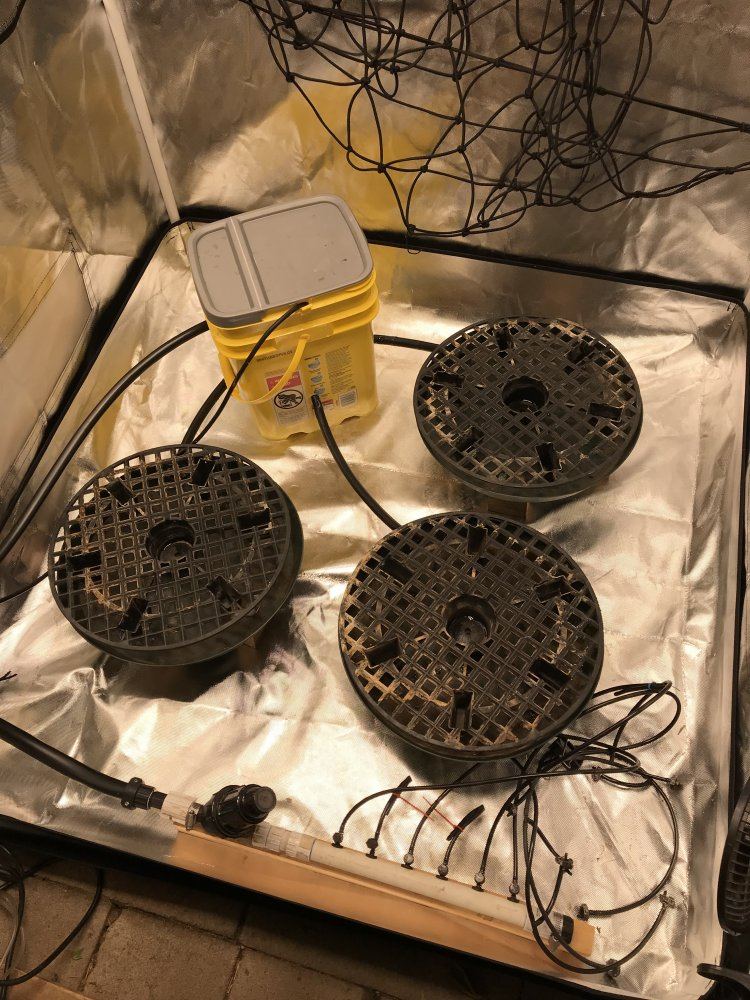 B0135F26 3F68 45CD B34B 2C5BE5D017D3