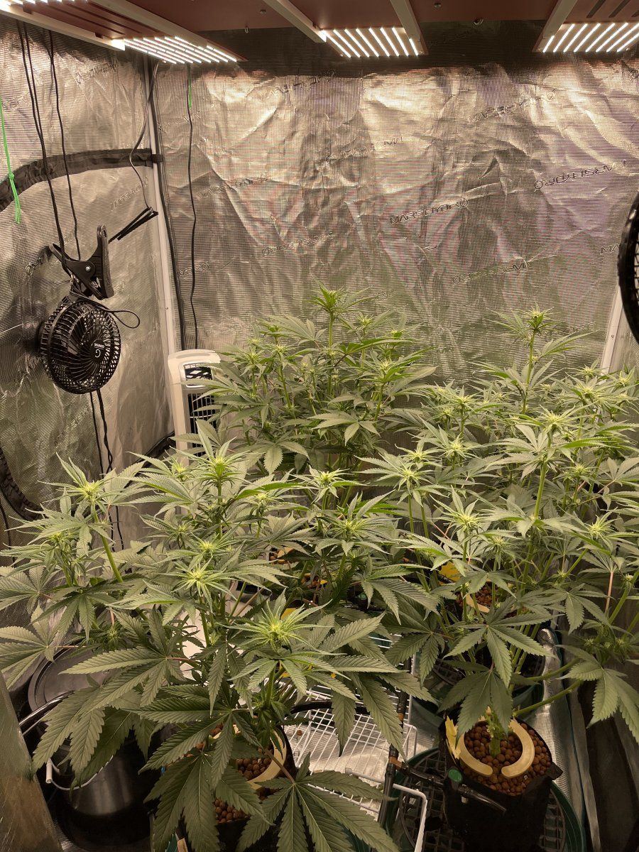 B274B057 A3DE 4AA0 A2C8 7143541702A1