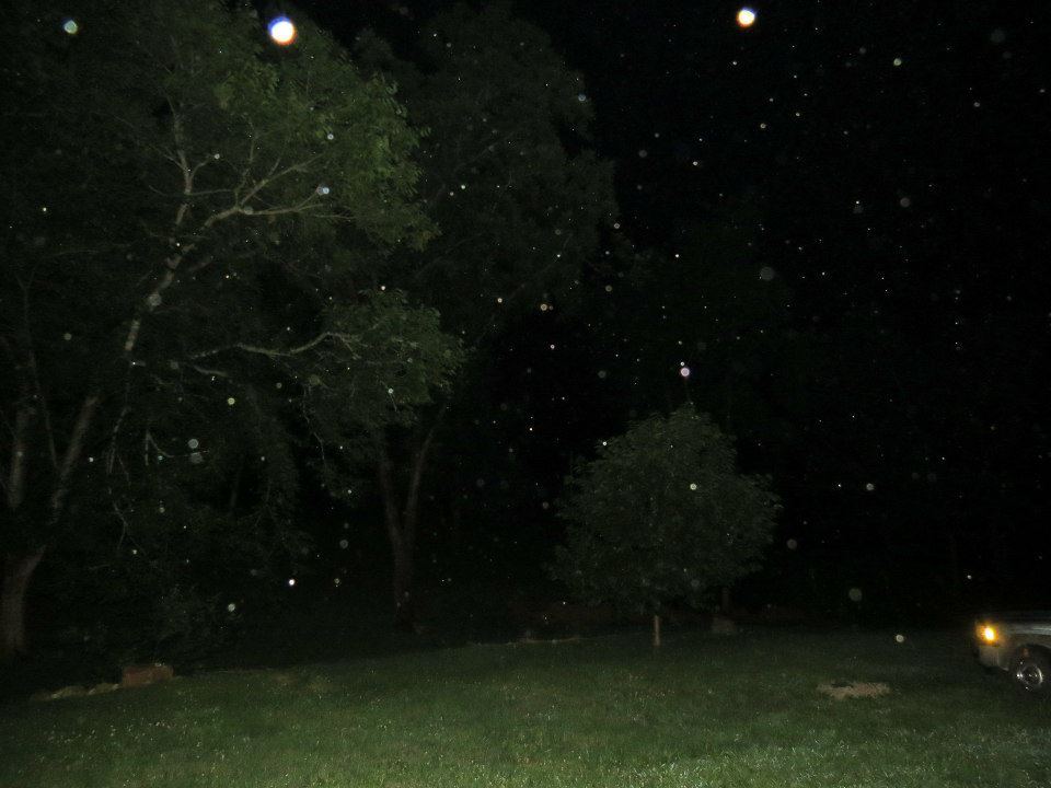 B4FBDA66 66E3 4080 B1CE 01F28F93858A