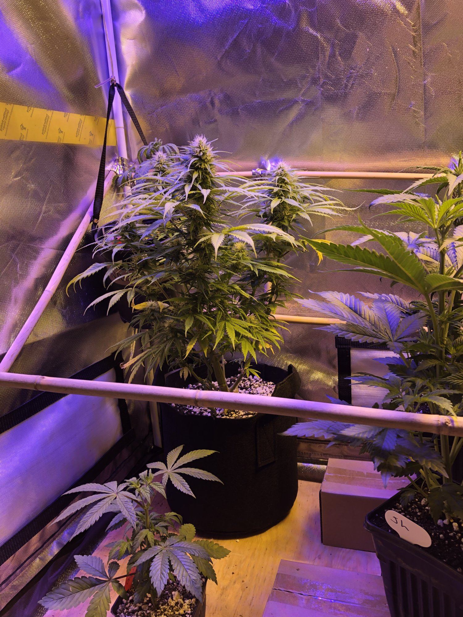 B83A9A04 CA37 44AA A25F 87B310F0945B
