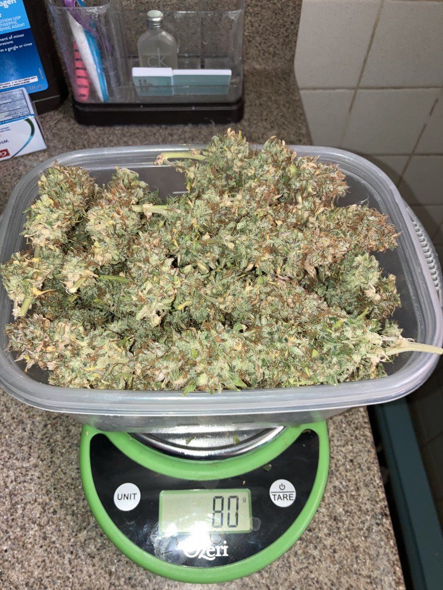 B8BAC4A8 F3C6 4B8E 9948 DD354C9336A6