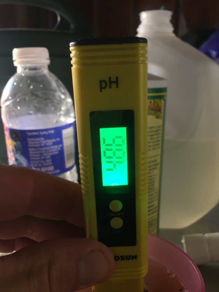 BA5676EF 0C2B 4BC4 98B5 159D31F982AF