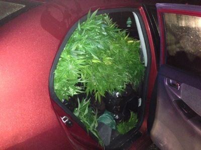 Back seat