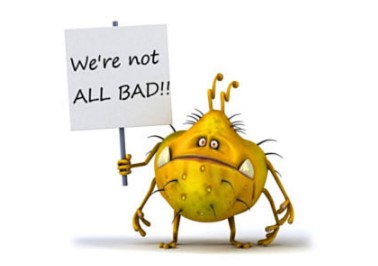 Bacteria meme
