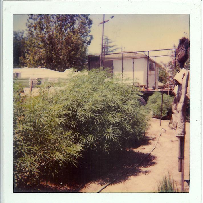 Bakerfld 001