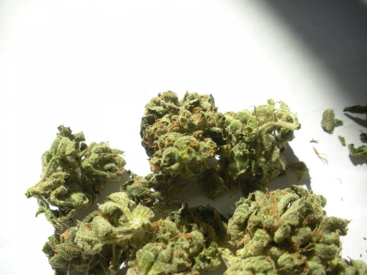 Banana Kush 2