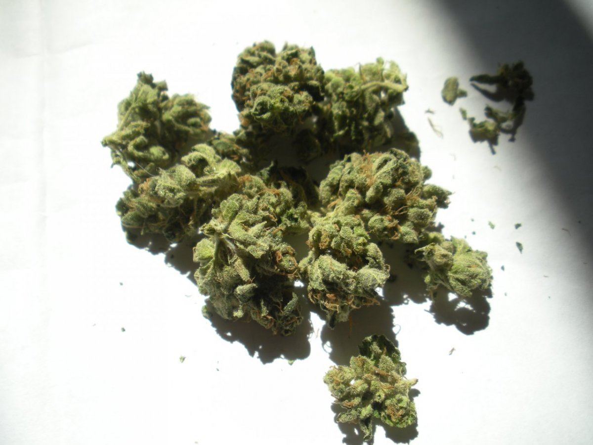 Banana Kush 3