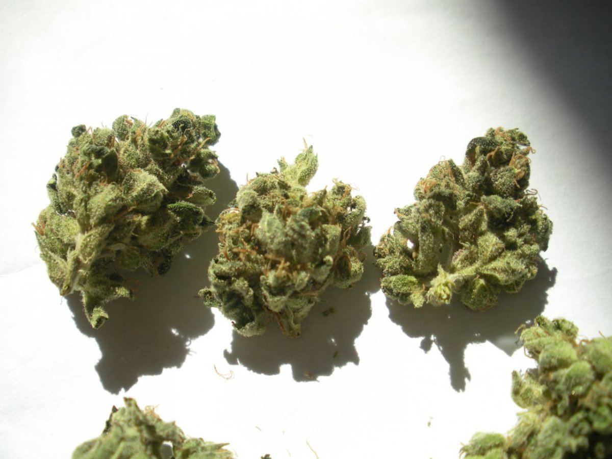 Banana Kush