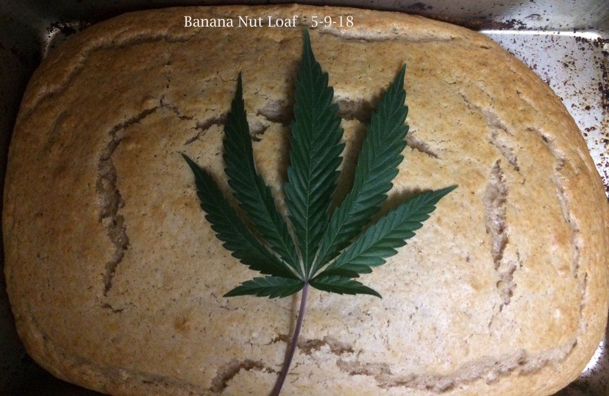 Banana Nut loaf