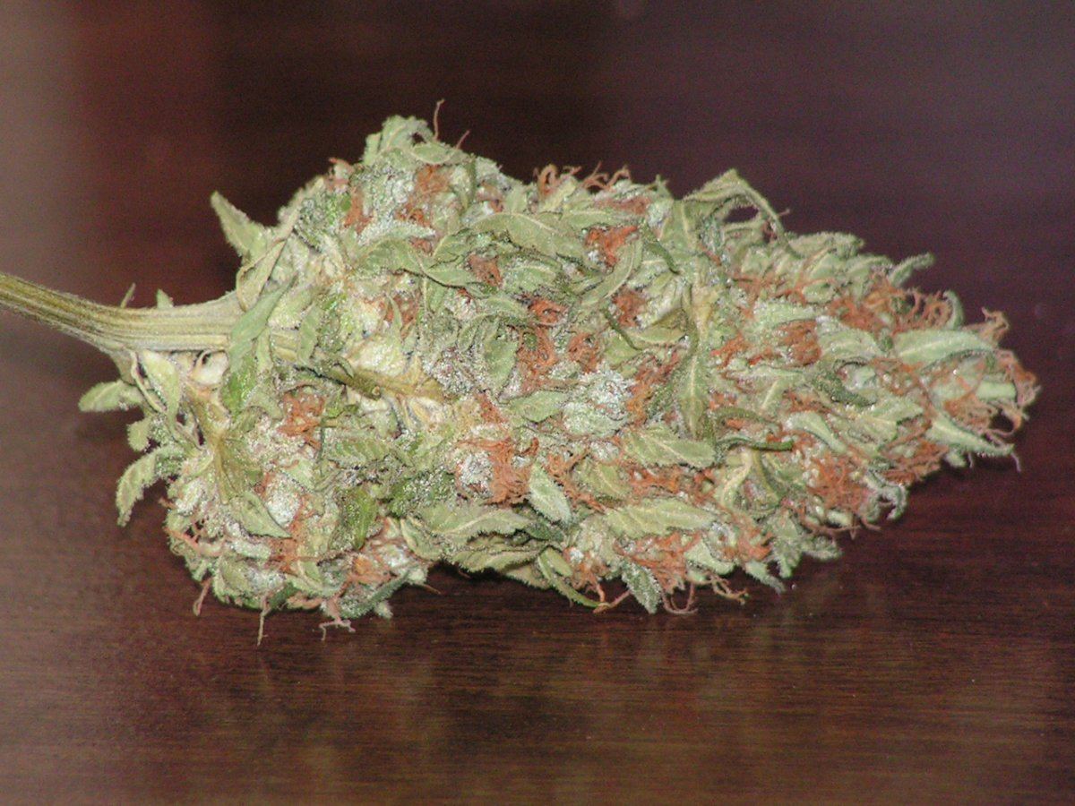 Banana pie 10