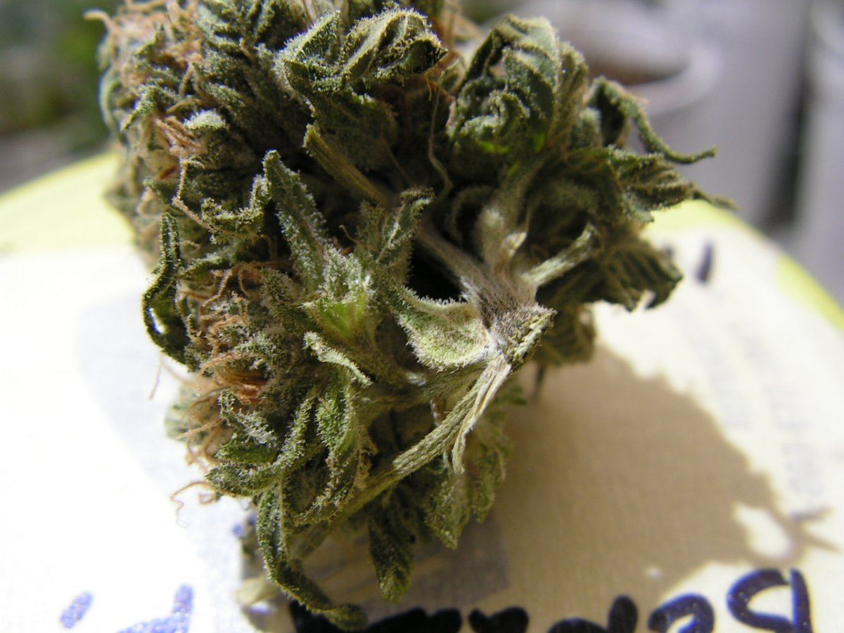 Banana pie 12