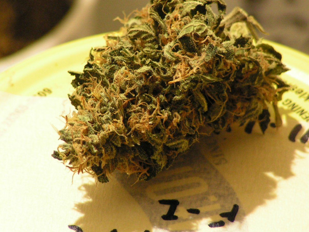 Banana pie 14