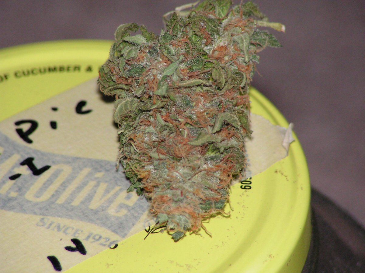 Banana pie 16