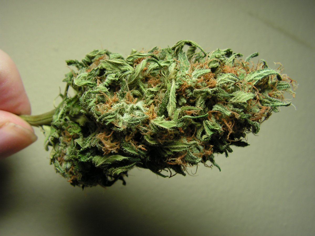 Banana pie 8