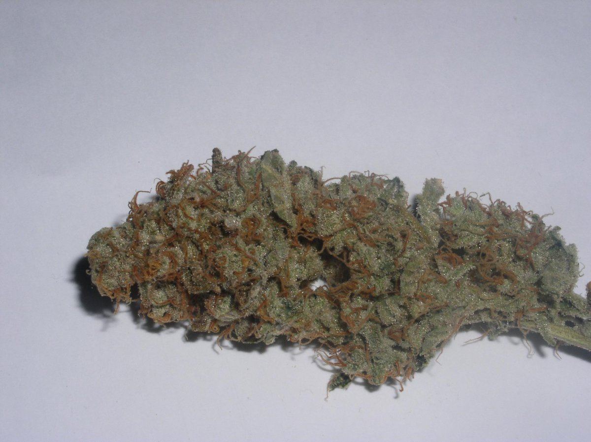 Barneys farm lsd 2