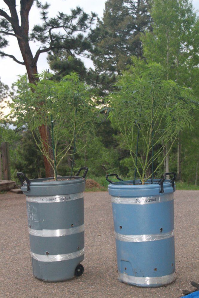Barrels