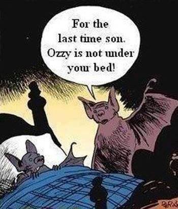 Bat