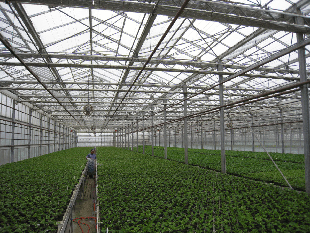 Bay City Flower Co03