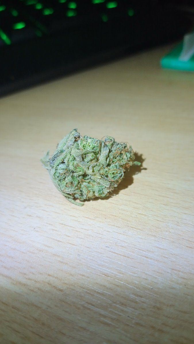 Bb bluecheese ct