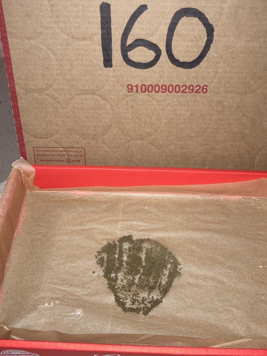 BB9656B3 B28D 44E6 90A9 53143069BD2C