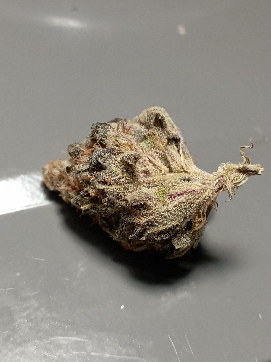 Bbbc