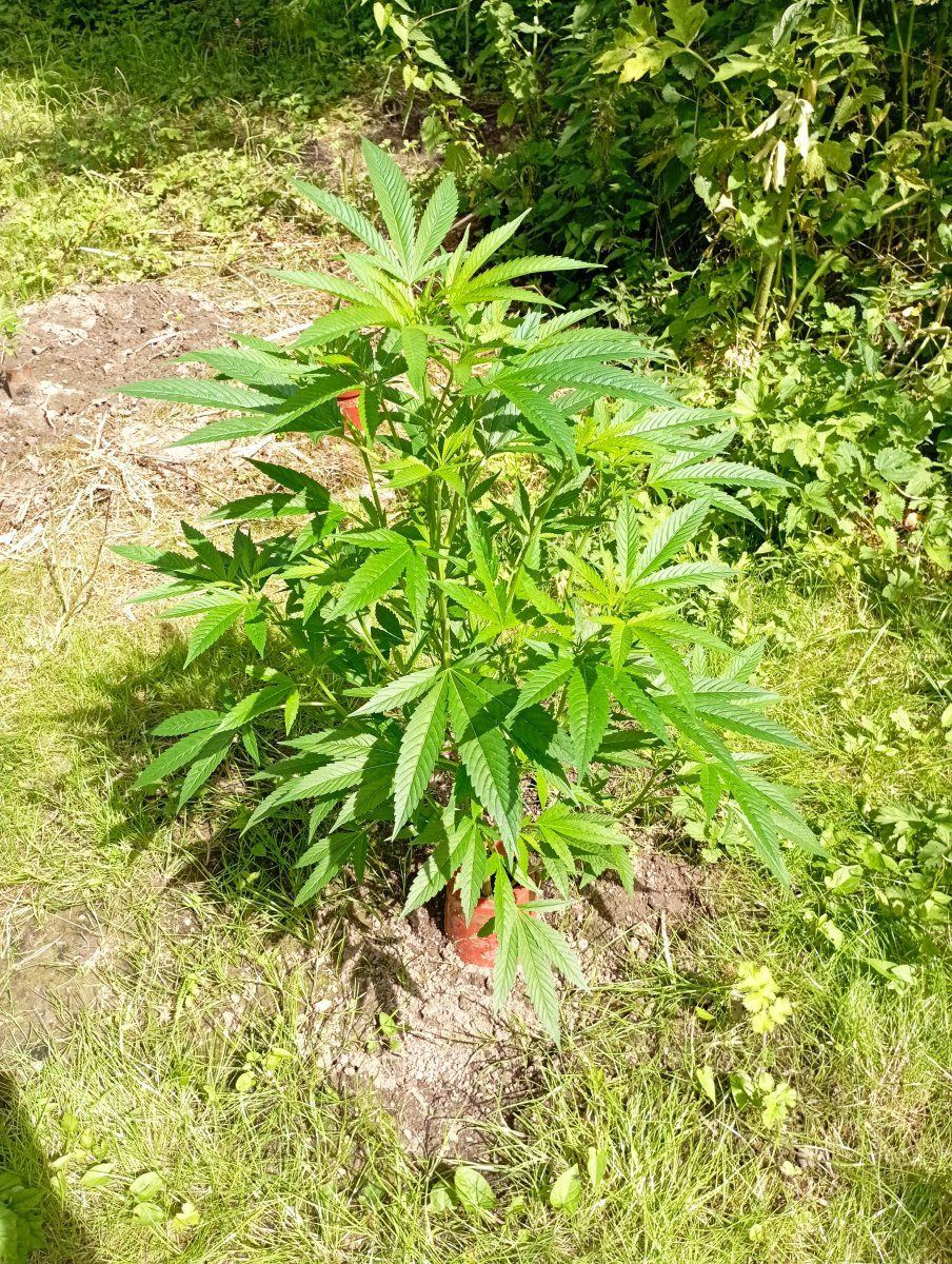 Bbbc24