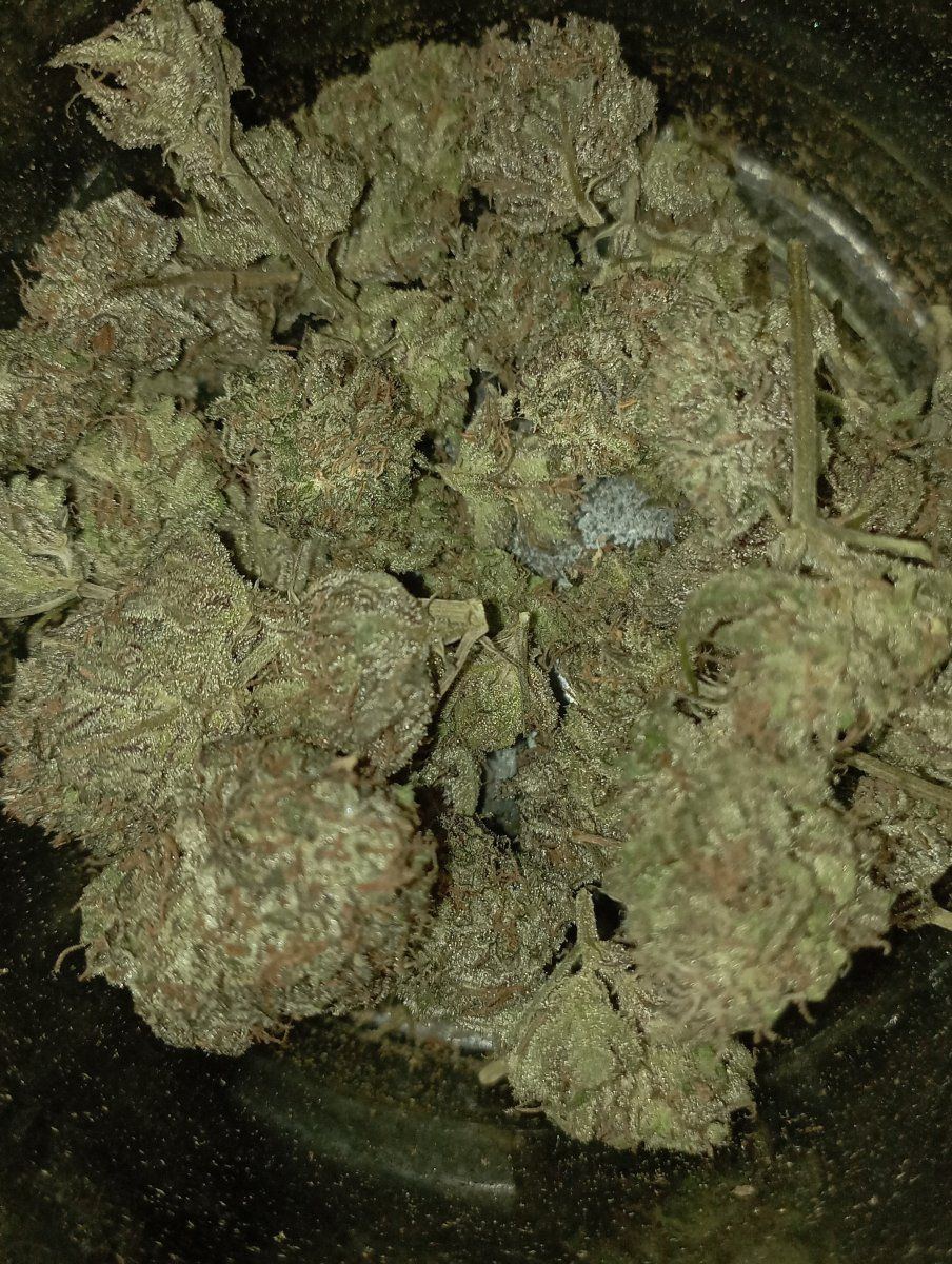 Bbbcjar