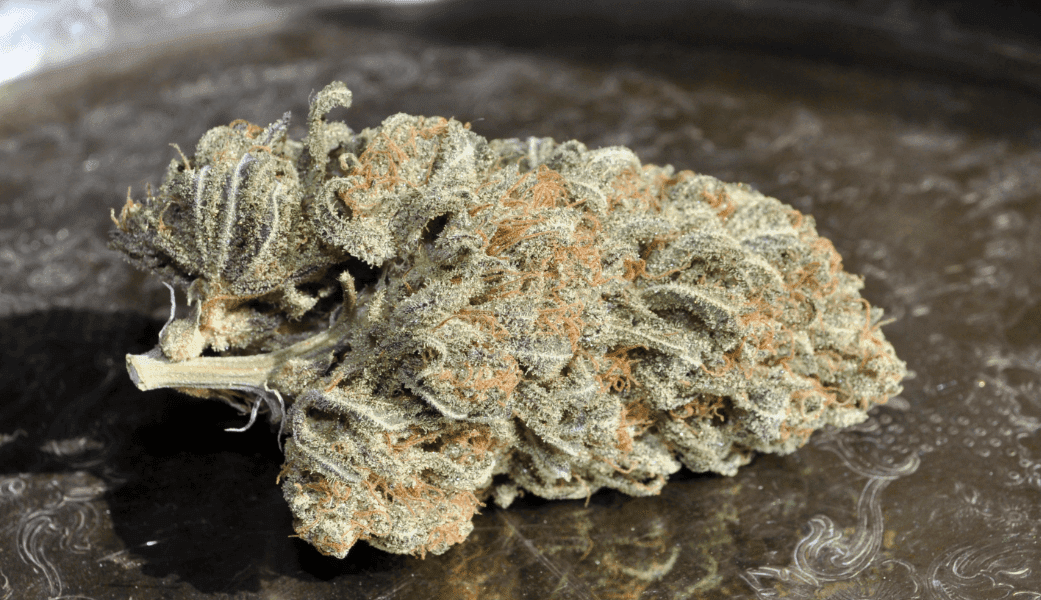 Bbk pheno1