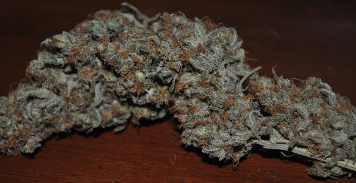 BBNL BUDSHOT