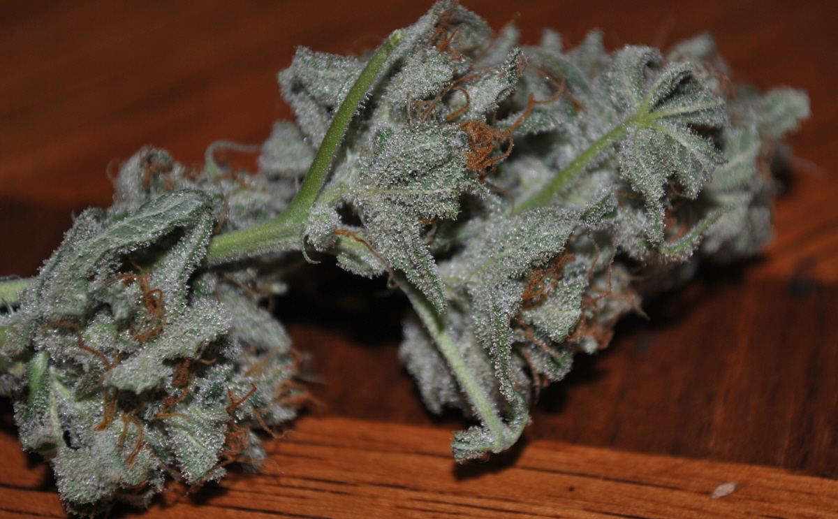 BBNLFLOWER14