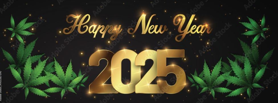 Bbs 2025