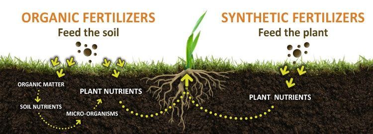Bbs organicsyntheticfert