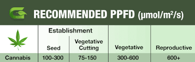 Bbs ppfd growth stage
