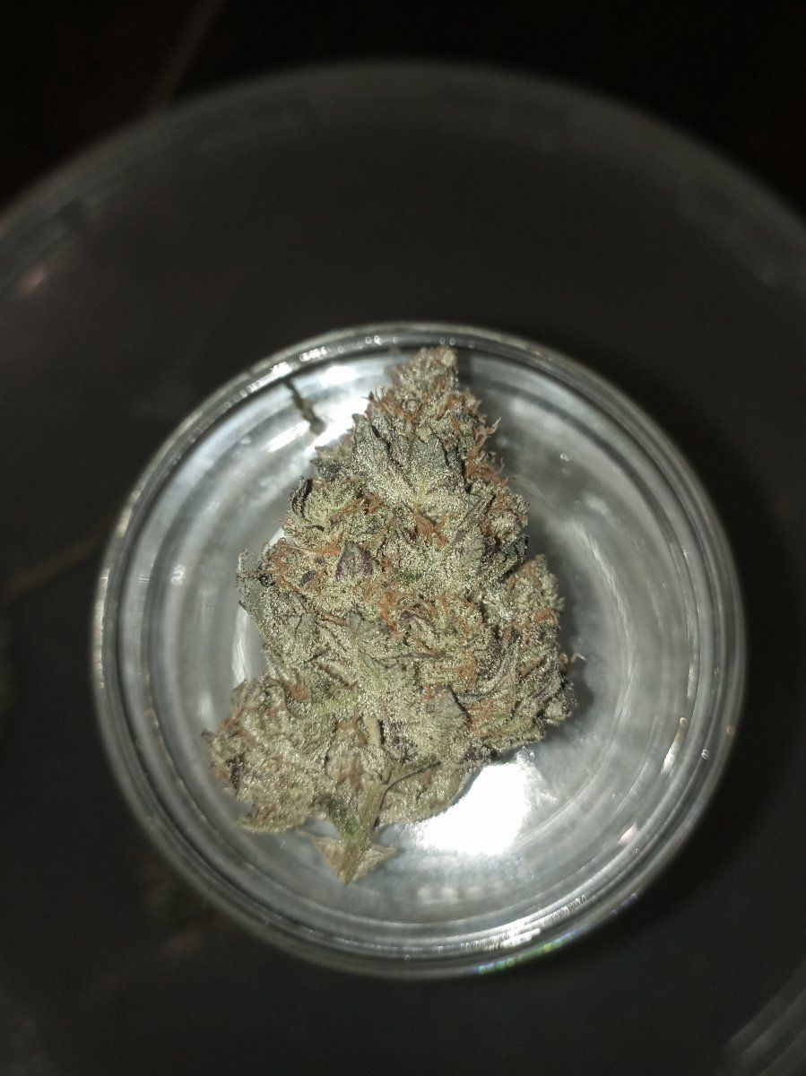 Bc nugs