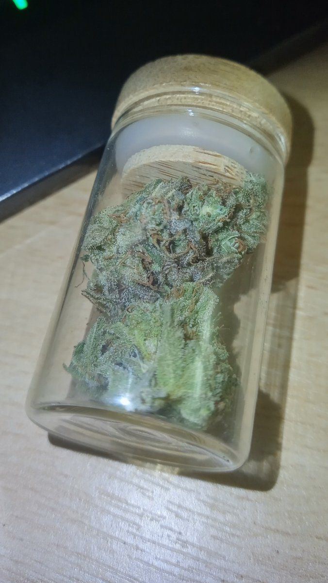 Bc seed thing