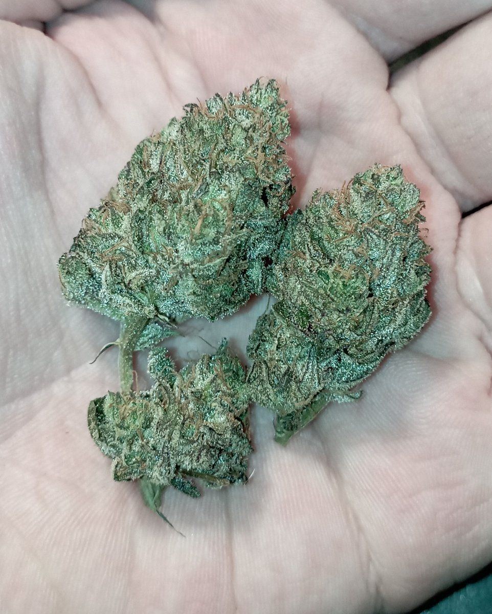 Bcblue