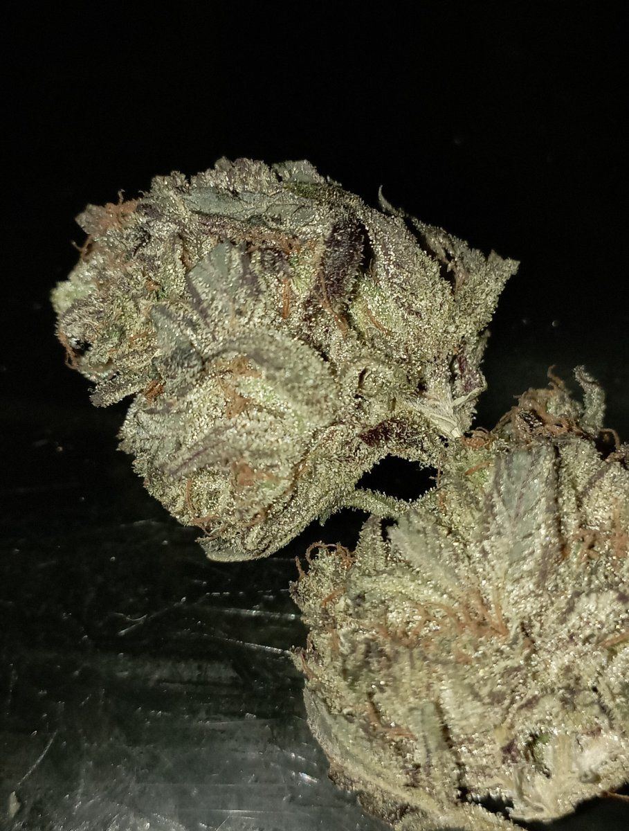 Bcbuds2
