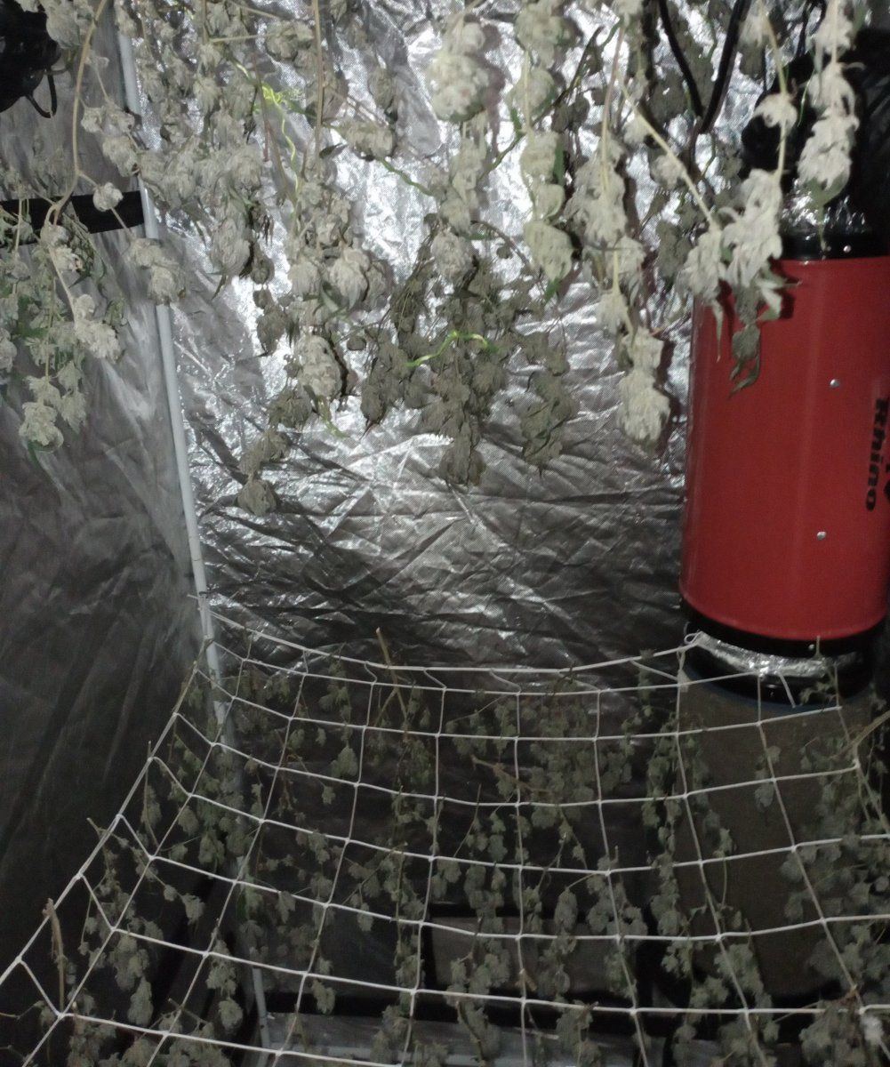 Bcdrytent