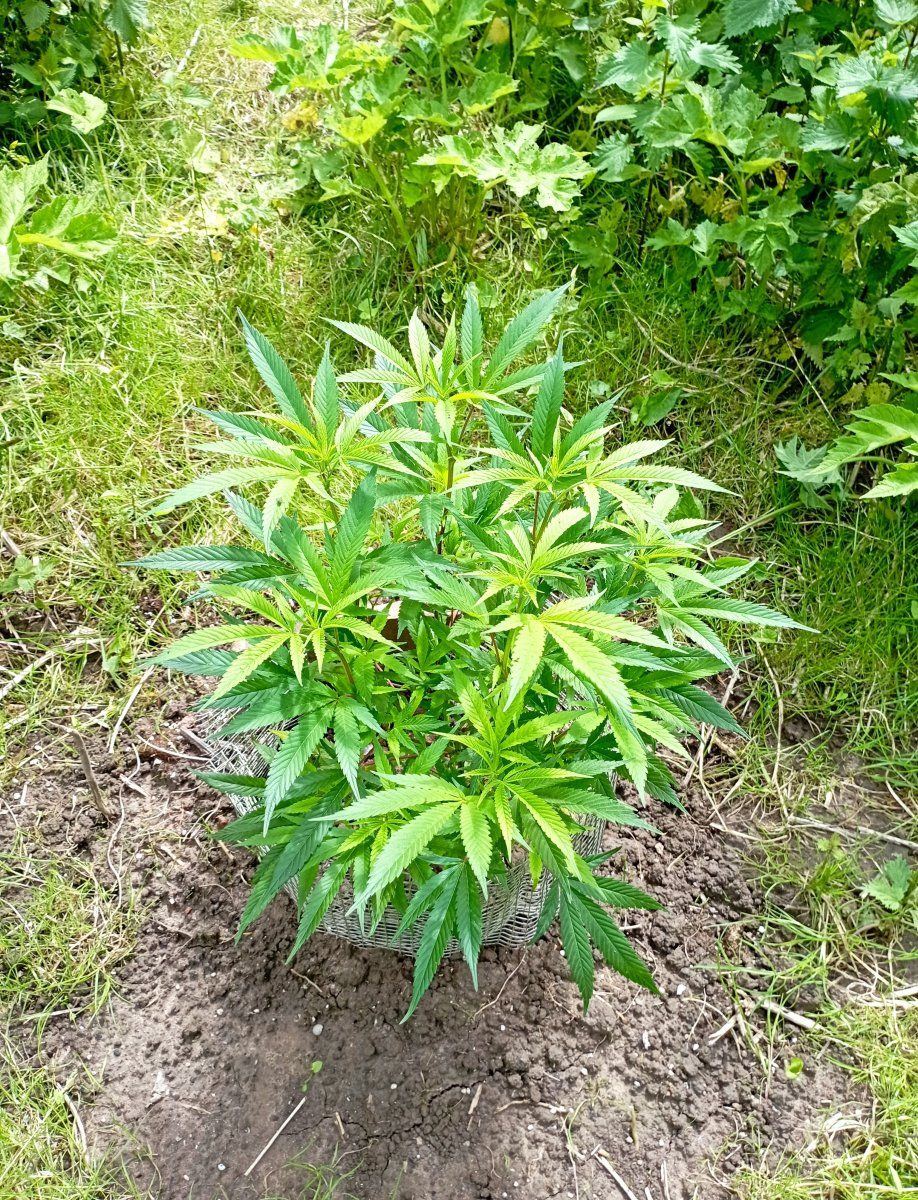 Bcoutdoor