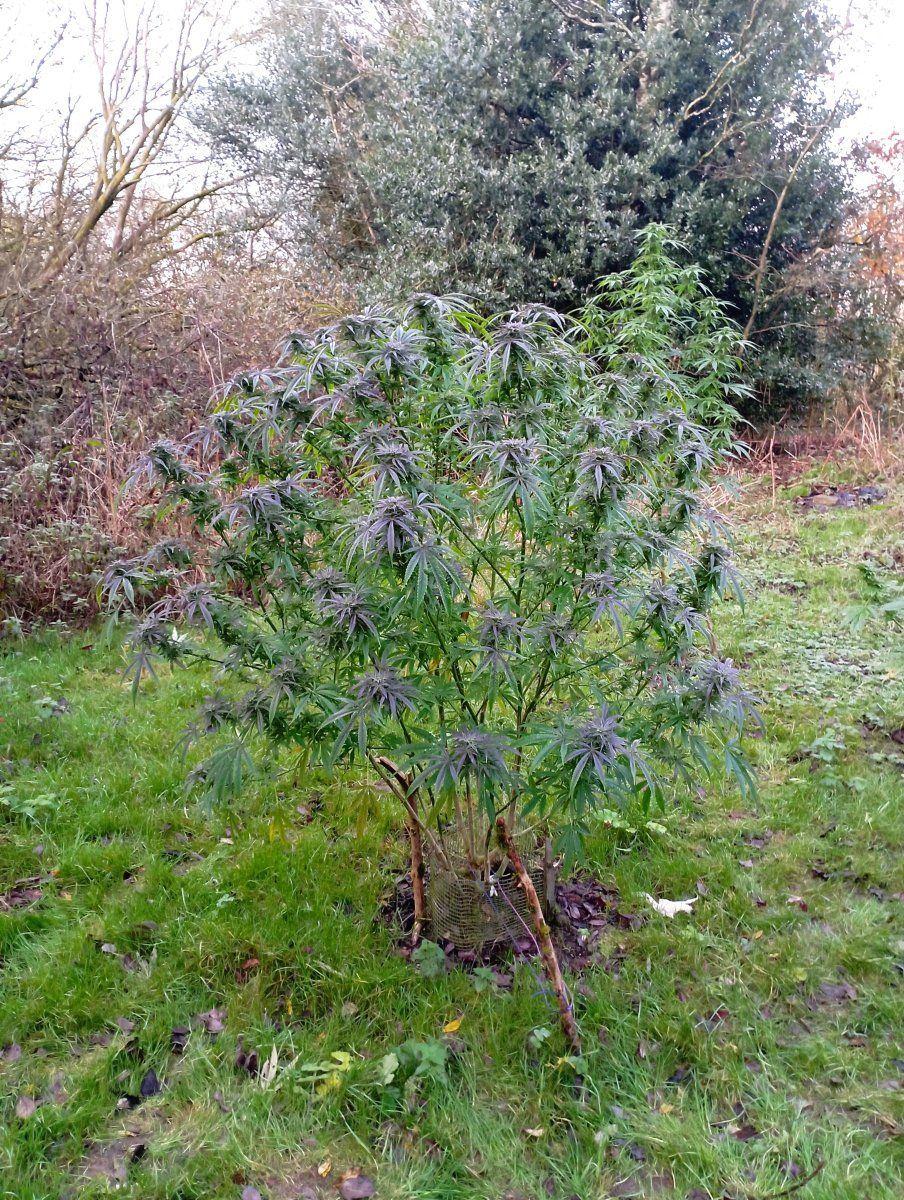 Bcoutdoor
