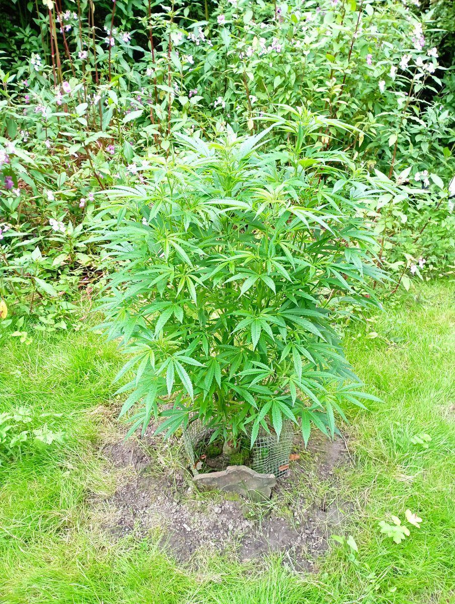 Bcroutdoor