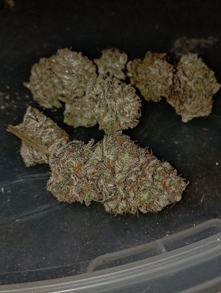 Bcwb