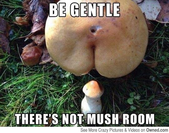 Be gentle 540
