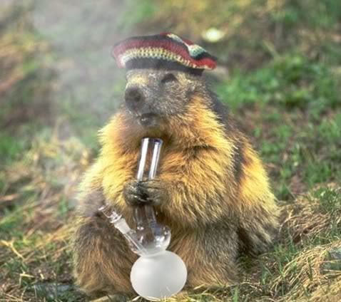 Beaverbong