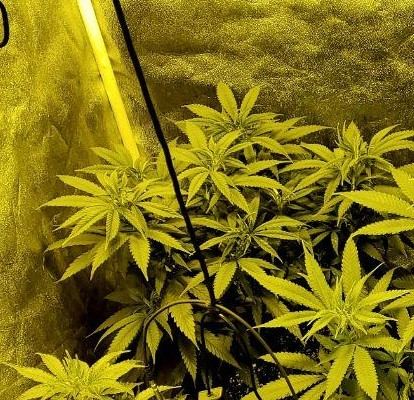 Before flush1